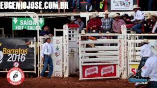 Surfista de SP troca mar e prancha por poeira e arreios para competir no  rodeio em cavalos, Festa do Peão de Barretos 2022