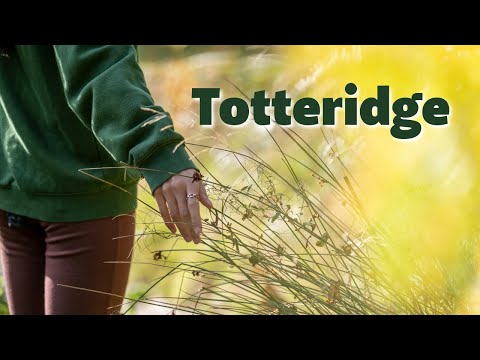Totteridge Circular walk  | Day Hike Sunday | 🇬🇧 Hiking UK | England