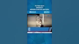 Puting bayi di pencet mengeluarkan air susu viral!! #trending #tiktok