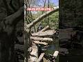 can you see the goose #goose #geese #waterfowl #hunting #fishing #camping