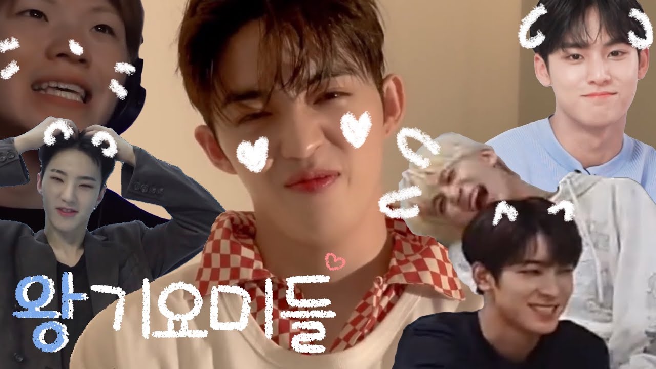 [세븐틴] 귀요미 모음