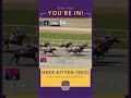 New year, new #WinAndYoureIn champions! Watch Herr Kitten earn his spot to #BC26!