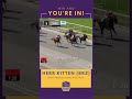 New year, new #WinAndYoureIn champions! Watch Herr Kitten earn his spot to #BC26!