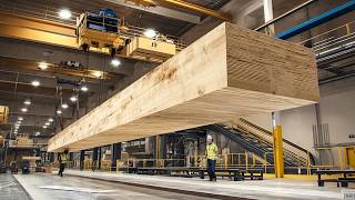 Inside Louisiana Sawmill Producing 90% America's Plywood - How World-Class Sawmills Process Timber