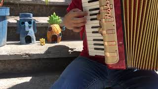 The Rake Hornpipe (Krusty Krab Theme). SpongeBob SquarePants (Accordion Cover). 🎼🎹🎵 🇲🇽