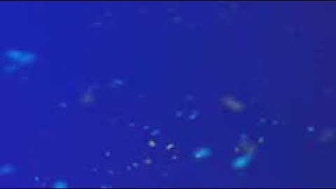 سورة الإنسان بصوت الشيخ القارئ فارس عباد