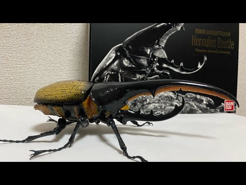 いきもの大図鑑プレミアム ヘラクレスオオカブト imgrc0098489069.jpg