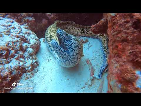 Rubiah Sea Garden, Sabang