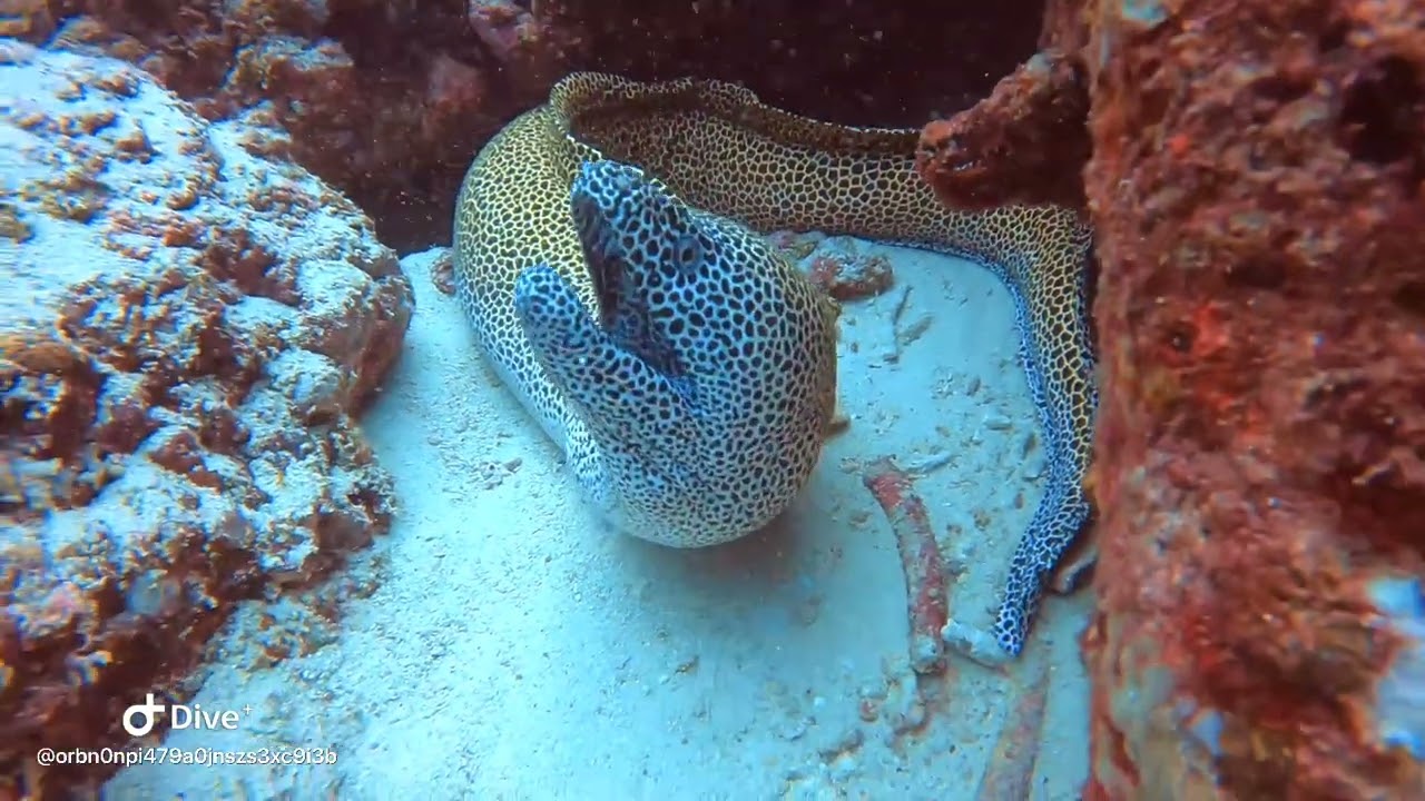 Rubiah Sea Garden, Sabang