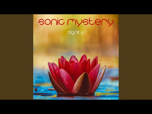 SONIC MYSTERY - Summer Breeze