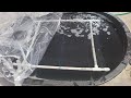 Growing freshwater prawns in a 100gallons stock tank