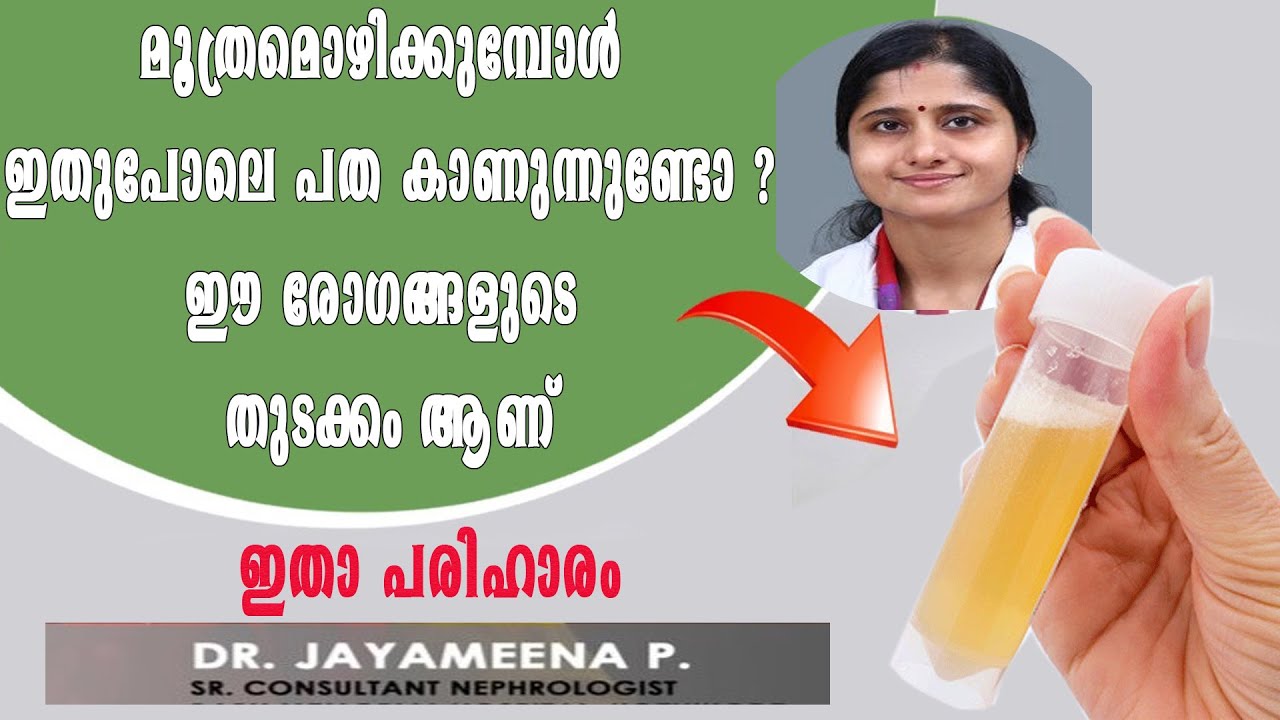 മൂത്രമൊഴിക്കുമ്പോ ഇതുപോലെ പത കാണുന്നുണ്ടോ   ഈ രോഗങ്ങളുടെ തുടക്കം ആണ് ഇതാ പരിഹാരം/Baiju's Vlogs