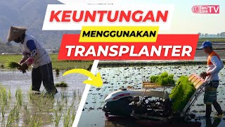 Inilah Keuntungan Menggunakan Mesin Tanam Padi Modern (Rice Transplanter)