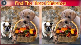 Spot The Difference: Thanksgiving (Part 1)