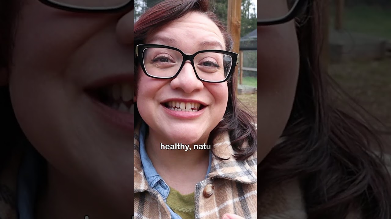 I Can Help You with Your Chickens #chickenlandia #backyardchickens #raisingchickens