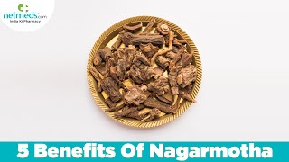 5 Benefits Of Nagarmotha