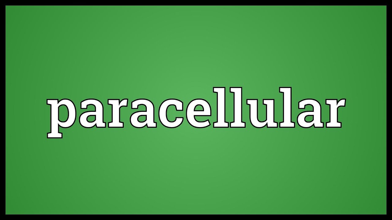 Raise Hell Meaning Raise Hell Meaning