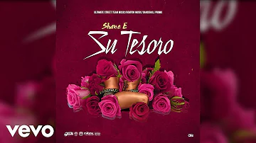 Shane E - Su Tesoro (Official Audio)