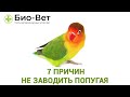 7 Причин Не Заводить Попугая 🐦 / Минусы Содержания Попугая Дома / Ветклиники БИО-ВЕТ