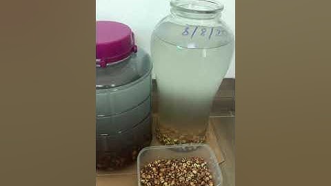 Cách ngâm rượu hạt sen ngon bổ