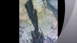 sestao,historia harrian idatzia 3 santi r.a,bizkaia