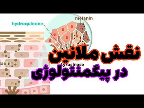 نقش ملانین در علم پیگمنتولوژی
