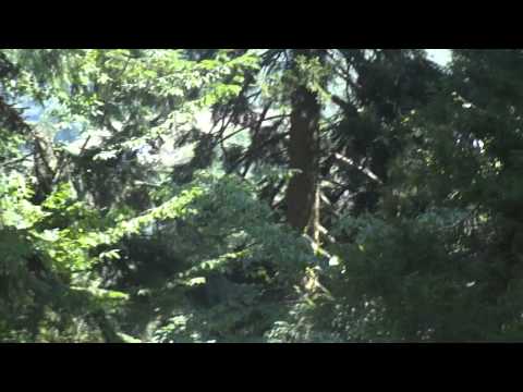 წაღვერი Tsaghveri