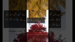 Urdu islamic motivational quotes about in Life reality __youtubeshorts youtubevideo islamic