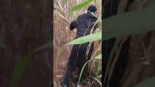 🔴 سيول واد تيفليت بأيت ساون تجرف سيارة  وتدخل ناجح لسلطات قيادة تنسيقت أكدز بإقليم زاكورة لإنقاذها
