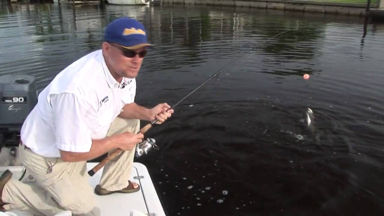 Great Tarpon Fishing in Boca Grande Cape Coral Ft. Myers! Chew On This