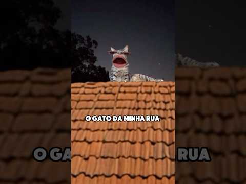 Na rua de vocês também é assim? Kkk