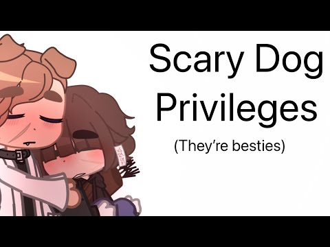 Scary Dog Privileges - FAU