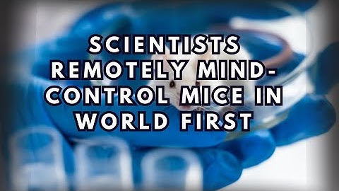 Scientists Remotely Mind-Control Mice in World First Experiment 