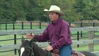 How to Prepare Your Horse for Ranch Sorting