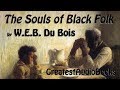 🙏🏿 THE SOULS OF BLACK FOLK by W.E.B. Du Bois - FULL AudioBook 🎧📖  | Greatest🌟AudioBooks