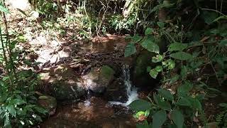 Subindo a Serra da lontra de motocross #naturezasurpreendente #paisagemnatural #fazenda 