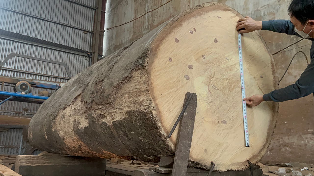Amazing Dangerous Skills Giant Wood Cutting Fastest | Extreme Wood ...