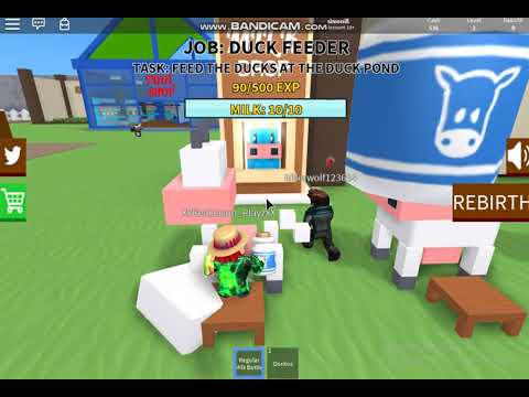 FERMER GAMES რა ვირა