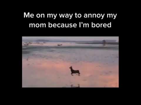 Me On My Way To Annoy My Mom Because I M Bored Youtube
