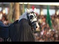 دمع وعتاب عادل الساعدي جديد لطميات محرم 1440 2018حزينة ويبقى الحسين دمع وعتاب عادل الساعدي جديد لطميات محرم 1440 2018حزينة ويبقى الحسين