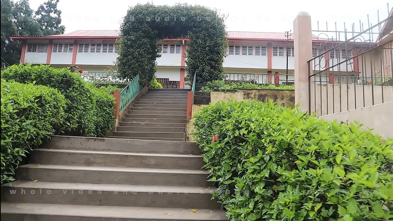 St Mary Mazzarello Feast Day  ( Official MV )