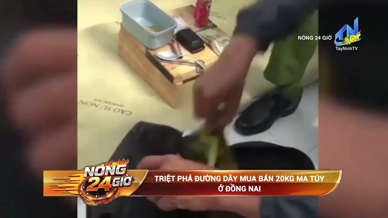 Triệt phá đường dây mua bán 20kg ma túy ở Đồng Nai | TayNinhTV