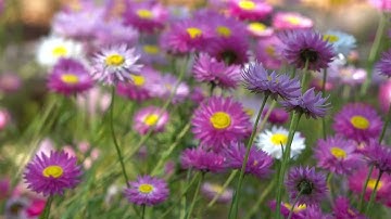 89How to plan a successful event