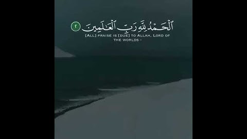 الحمد الله رب العالمين| القارئ #عمر| حالات واتس اب اسلامية ، مقاطع قرآن للاستقرام بدون حقوق ..