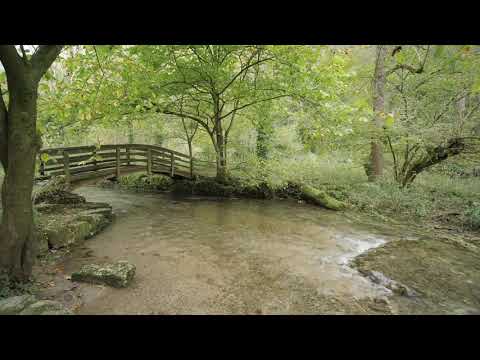 7 Hours of Deep Sleep watching a gentle river flowing under a wooden bridge.  @VividPhotoVisual