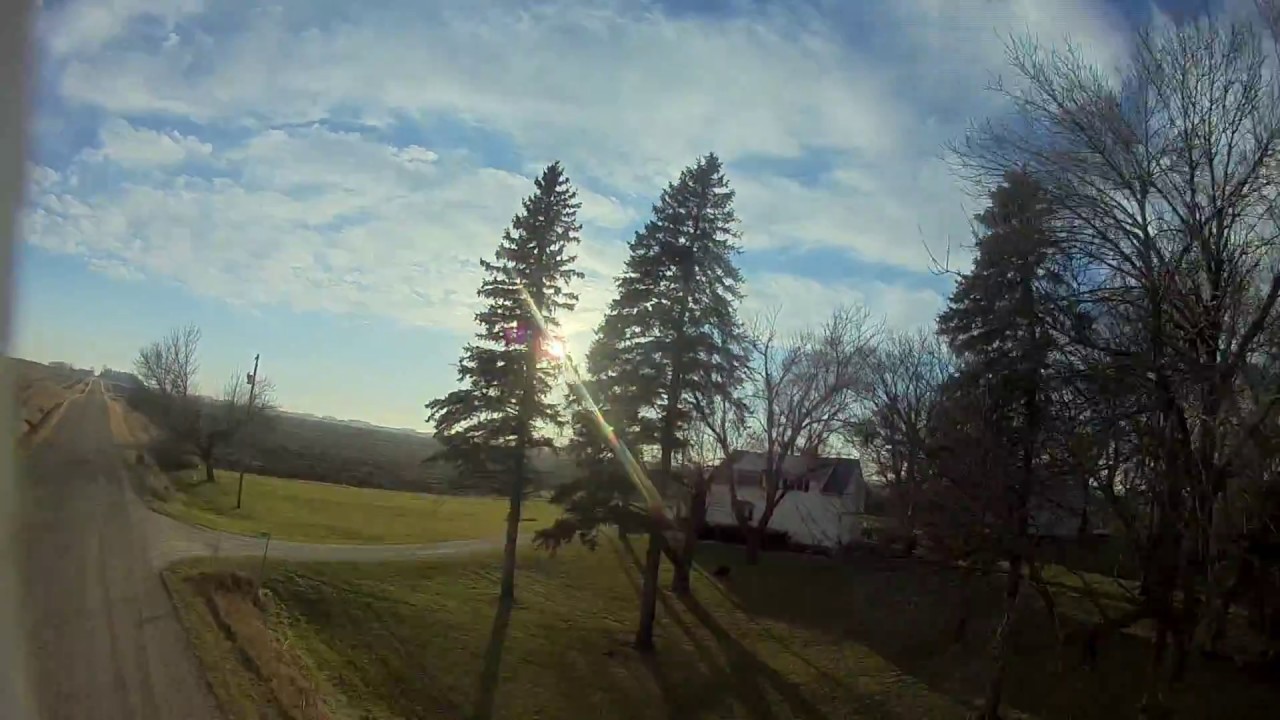 Pine Derby, Tree Fun! (v1) YouTube