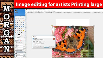 How to print a poster larger than A4 Jason Morgan wildlife art