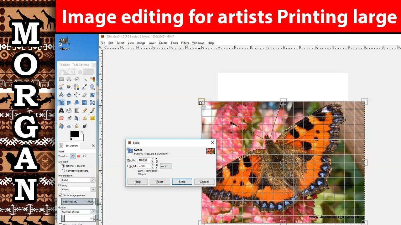 How to print a poster larger than A4 Jason Morgan wildlife art