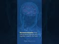 #MedicalJargonExplained: Neuropsychology