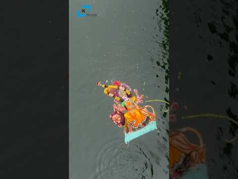 Durga visarjan 2024